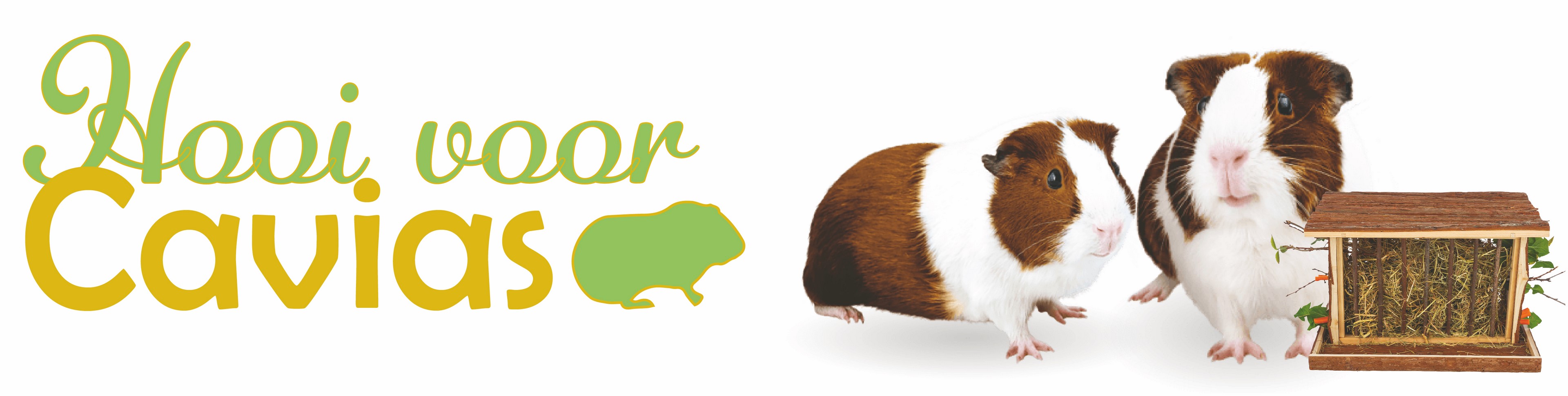 Hooi voor cavia's 